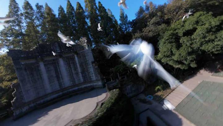 CCTV 央视 — 画面 10