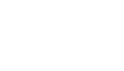 CAMEL 骆驼